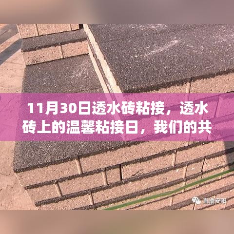 百鸟争鸣 第4页