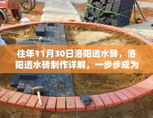 落土飞岩 第4页