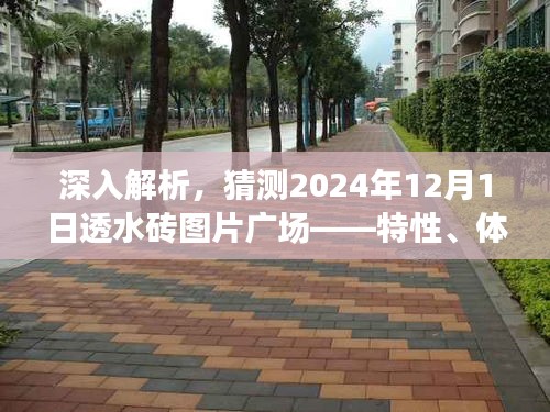 自作主张 第3页