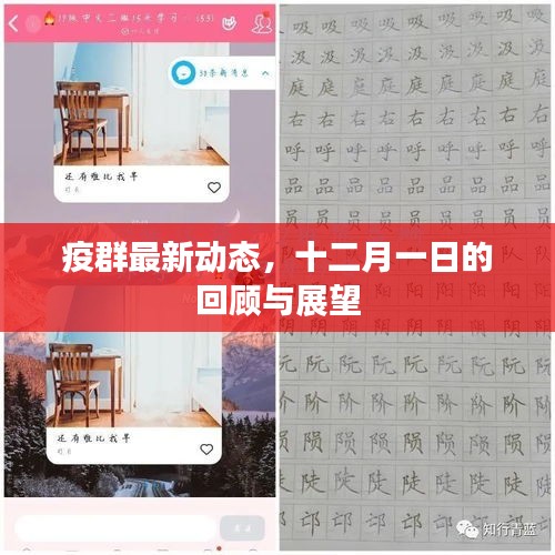 芳兰竟体 第3页