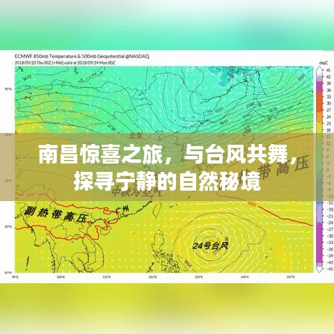 鸷鸟不群 第3页