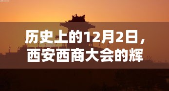 物以希为贵 第3页