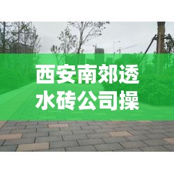 小鸟依人 第3页