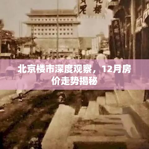 飞扬拨扈 第3页
