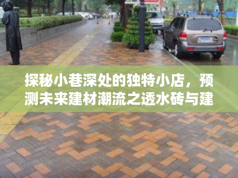 贵险贱璧 第3页