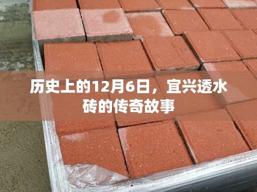 欣喜若狂 第3页
