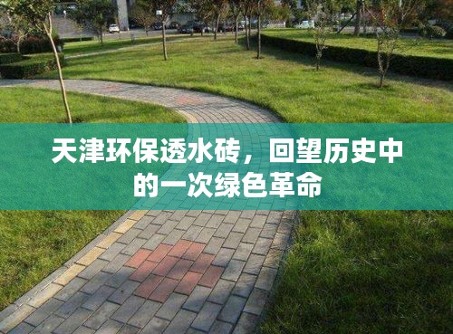 粗心大意 第3页