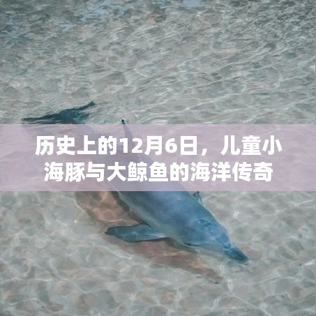 张灯挂彩 第3页