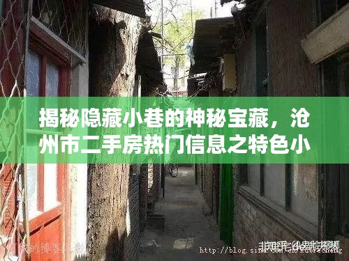 关于我们 第392页