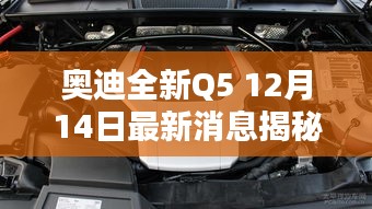 千辛万苦 第3页