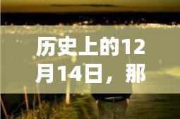张袂成阴 第2页