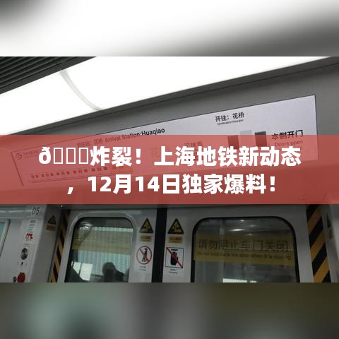 如翚斯飞 第2页