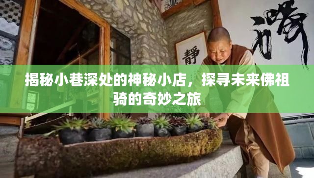 一往无前 第2页