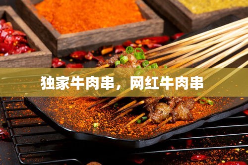 独家牛肉串，网红牛肉串 