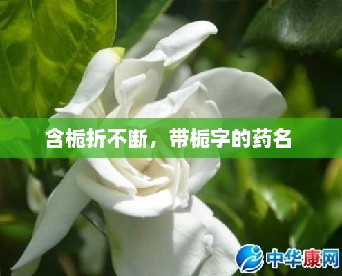 斗志昂扬 第2页