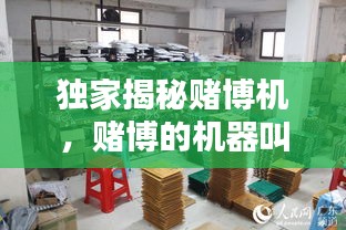 雍容华贵 第2页