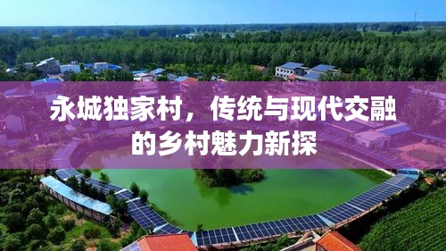 物以希为贵 第2页