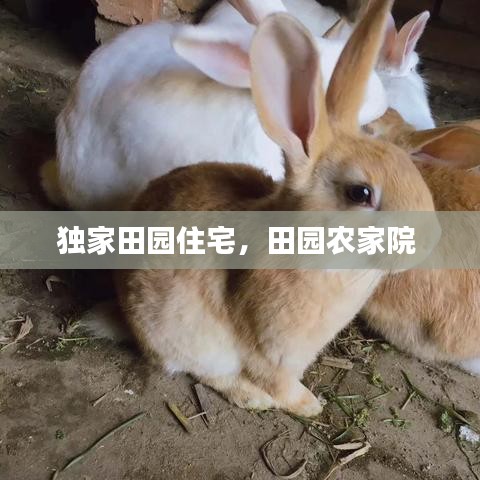 艰苦朴素 第2页