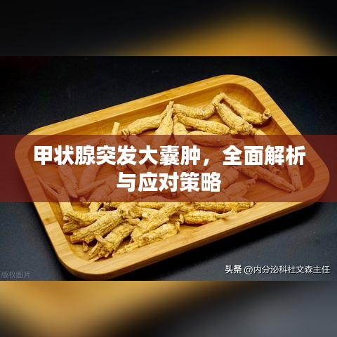 产品中心 第170页