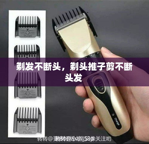 生离死别 第2页