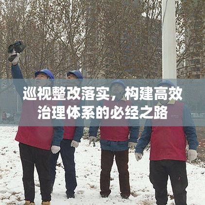 飞蝗芜湖 第2页