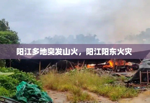 法不阿贵 第2页