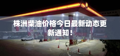 郑重其事 第2页