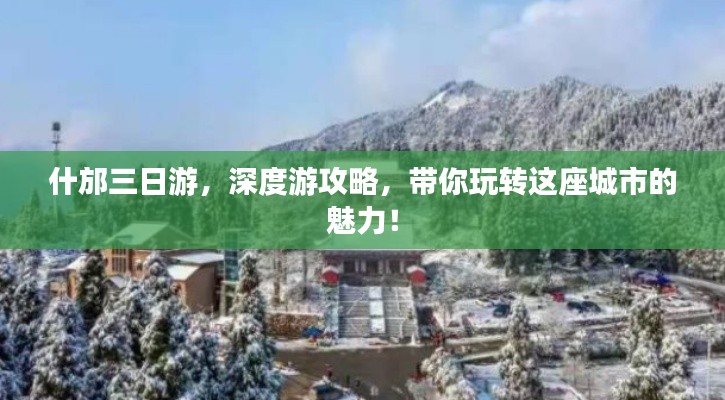 钗荆裙布 第2页
