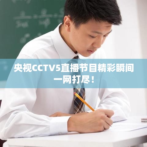 逸兴遄飞 第2页