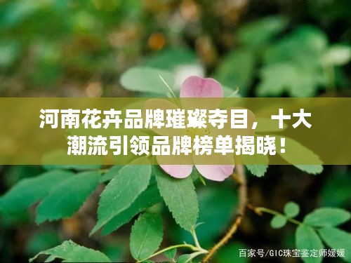 千辛万苦 第2页