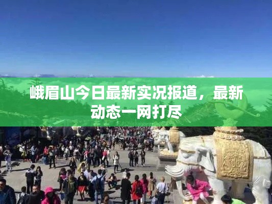 第453页
