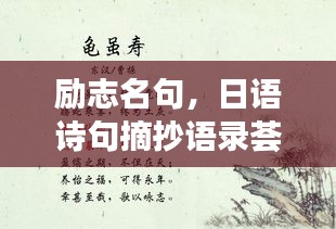 励志名句，日语诗句摘抄语录荟萃