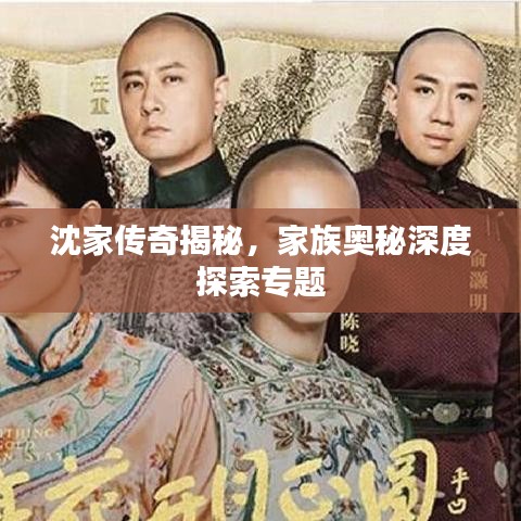 沈家传奇揭秘，家族奥秘深度探索专题