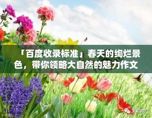 「百度收录标准」春天的绚烂景色，带你领略大自然的魅力作文