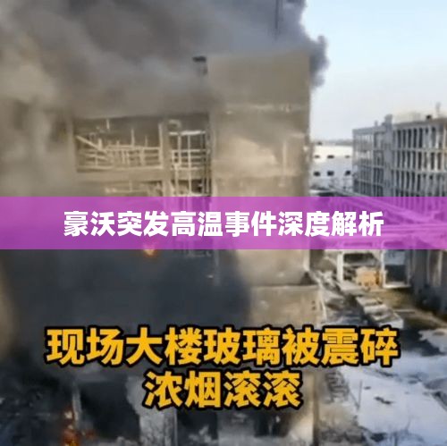 豪沃突发高温事件深度解析