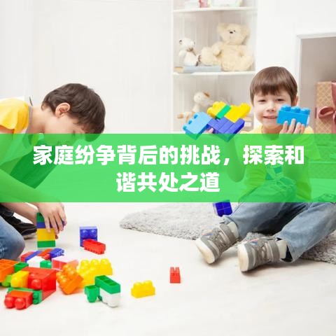 家庭纷争背后的挑战，探索和谐共处之道