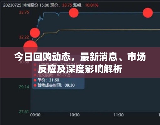 今日回购动态，最新消息、市场反应及深度影响解析