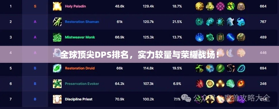 全球顶尖DPS排名，实力较量与荣耀战场！