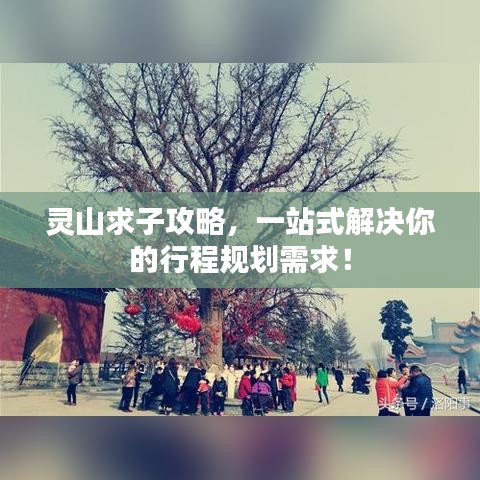 灵山求子攻略，一站式解决你的行程规划需求！