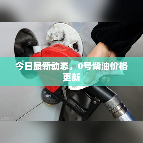 狗尾续貂