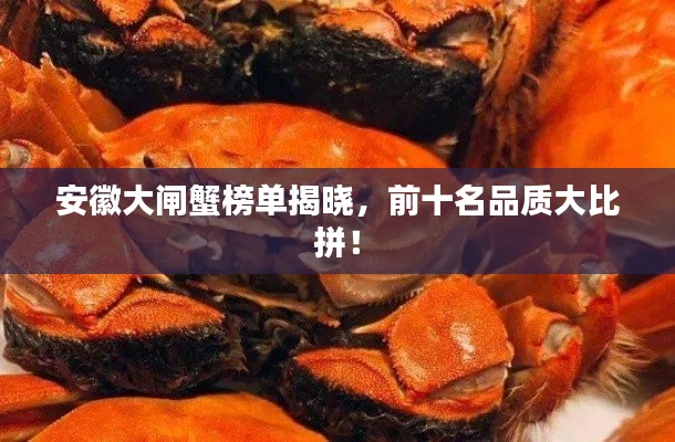 改弦易张