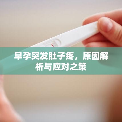 早孕突发肚子疼，原因解析与应对之策