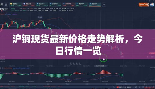 关于我们 第9页