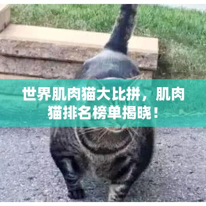 2025年5月16日 第3页