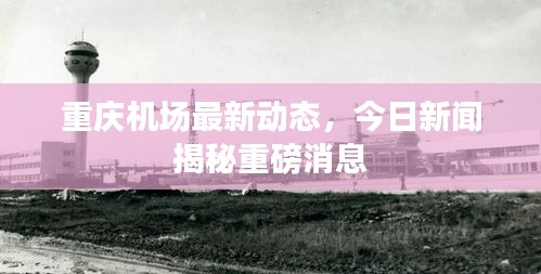 尽心竭力
