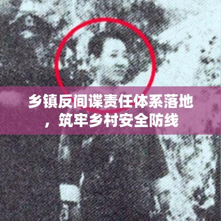 2025年5月17日 第3页