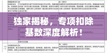 独家揭秘，专项扣除基数深度解析！