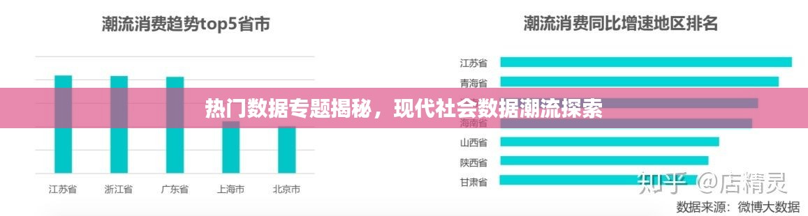 热门数据专题揭秘，现代社会数据潮流探索