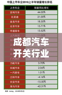 成都汽车开关行业TOP10榜单揭晓！