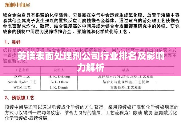 菱镁表面处理剂公司行业排名及影响力解析
